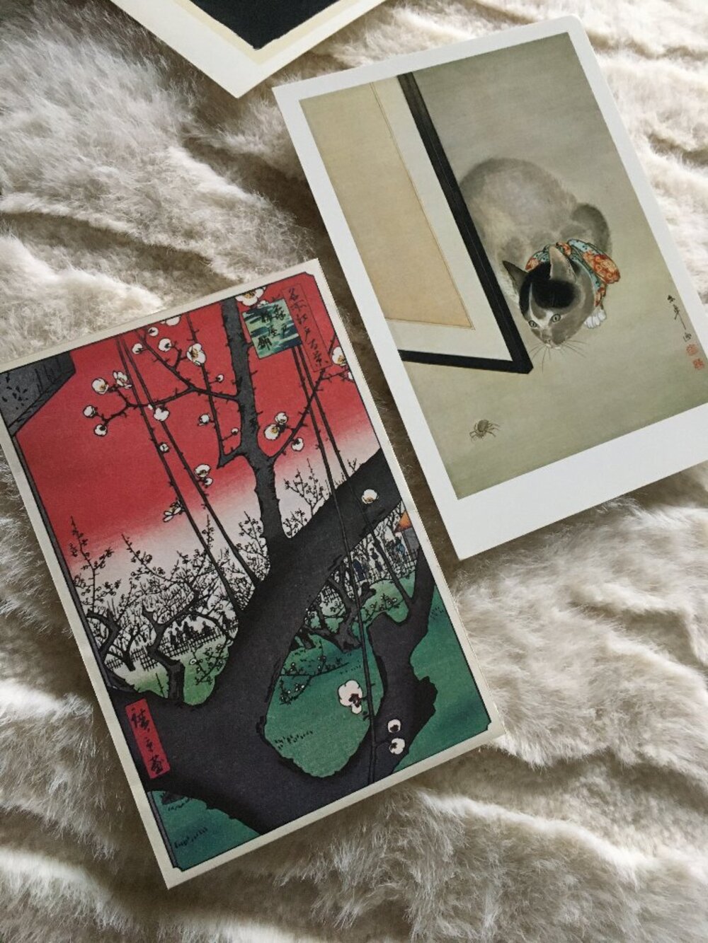 Vintage Y2K 2000 Met Museum Postcard 'Cat and Spider' Oide Makoto Toko Art